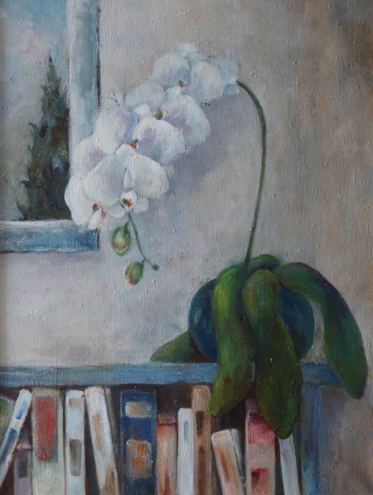 Orchidee