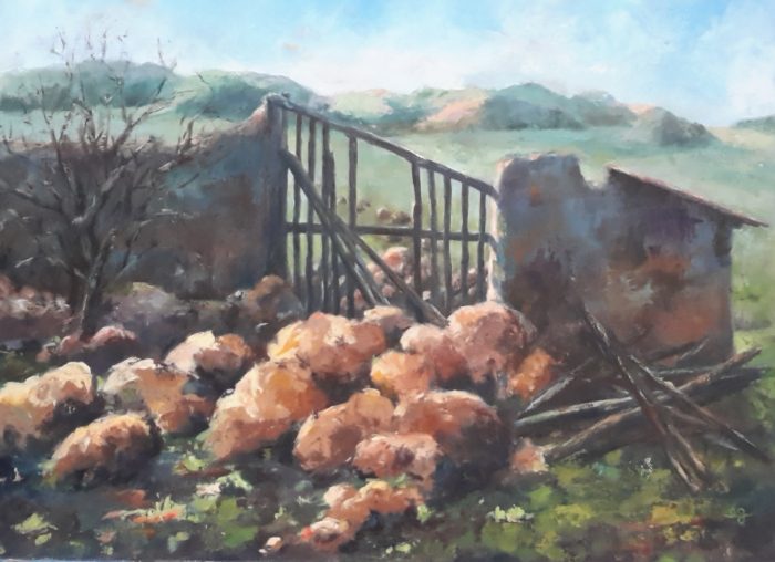 Contre-jour à la campagne
