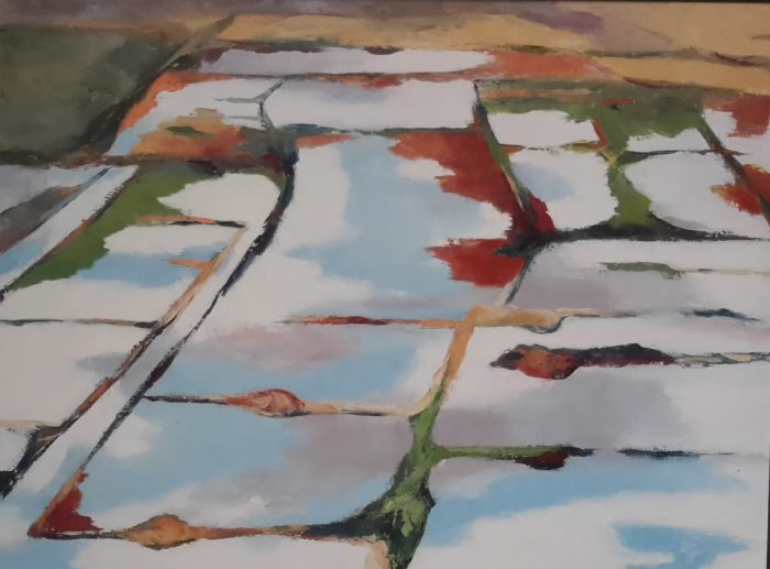 Marais salants